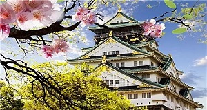 讓我們了解一下關于專業的日本留學機構